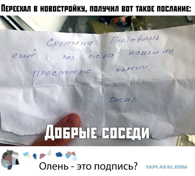 Чуток картинок 14.10.19