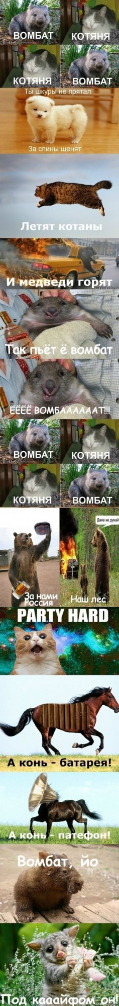 Он в норах спасал обгоревших ребят