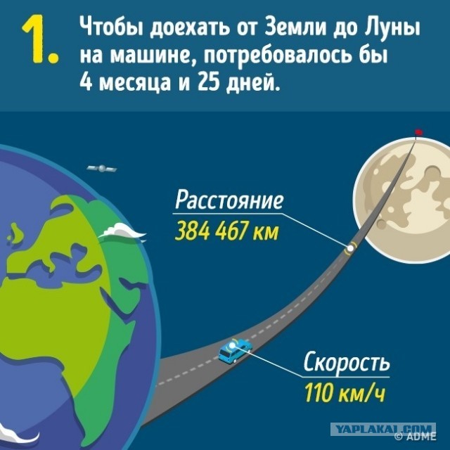 10 вещей, о реальных размерах которых мы и не подозревали