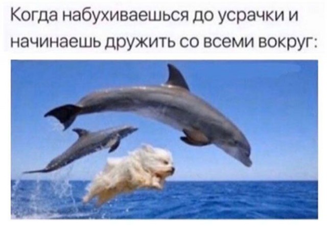 Немного картинок для настроения 17.05.20