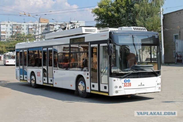 Зацеперша 80-го уровня