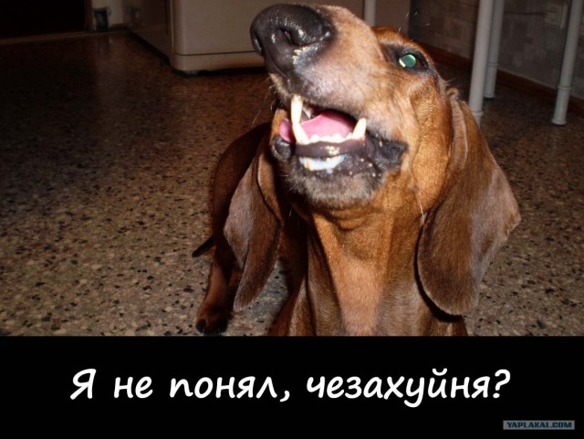 17/11/2008 по просьбам трудящихся