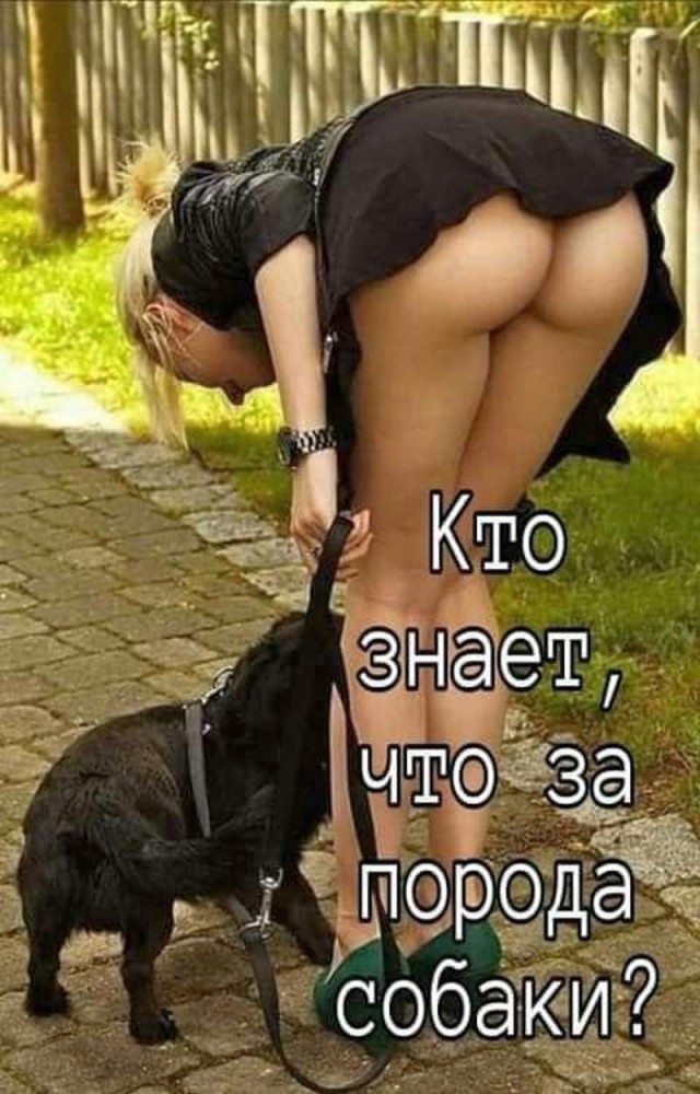 Пятница. И немного слегка пошлых картинок с надписями и без 16+ (24.07)
