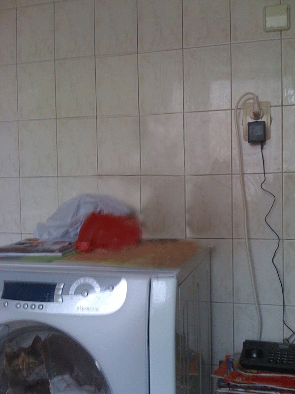 Отжабте моего кота
