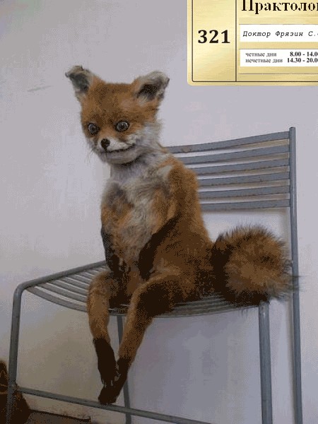 Таксидермия + наркомания