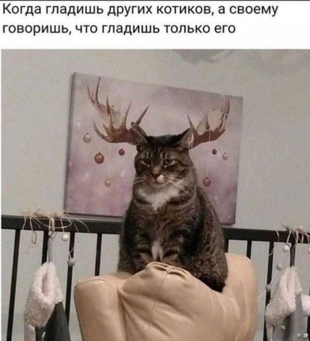 Бредзона 13.03.21