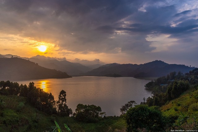 Уганда: самая настоящая Африка с гориллами и носорогами!