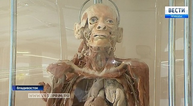 Посетил выставку Body Worlds на ВДНХ