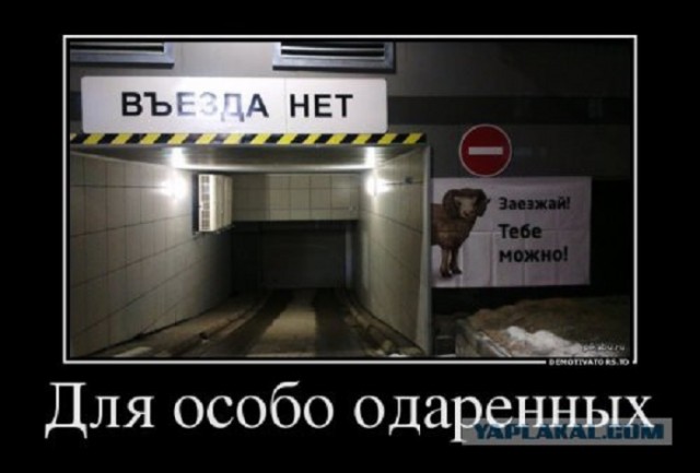 Картинки и мемы для настроения