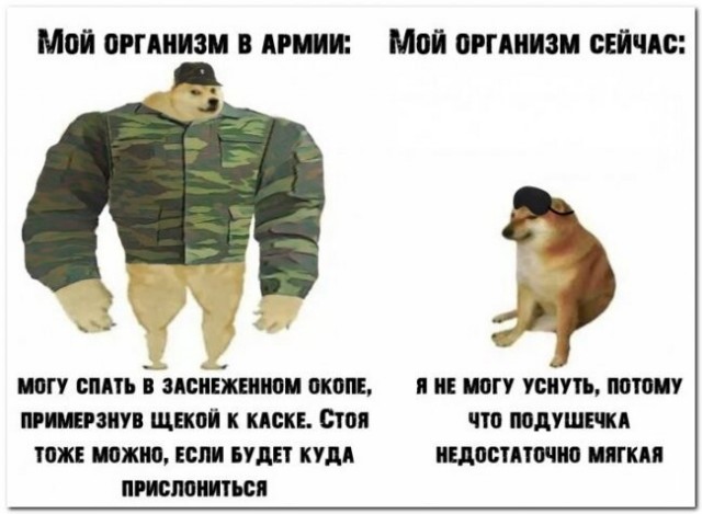 Баянисто-небаянистый юмор 15.05.21