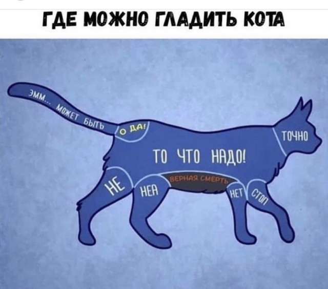 Так себе картинки 13.07.21