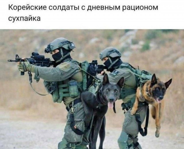 Бредзона 22.08.21