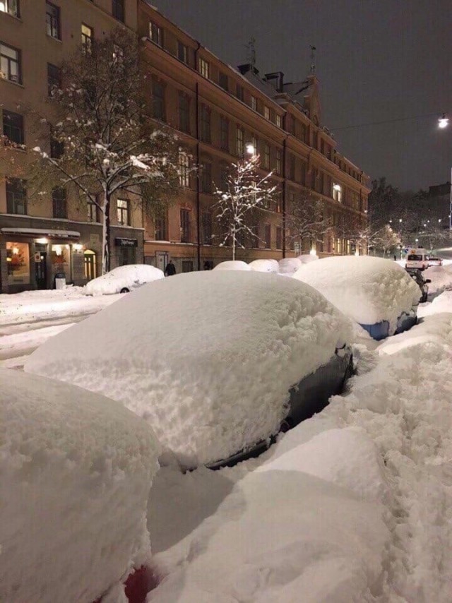 Аватарки мужиков за 40