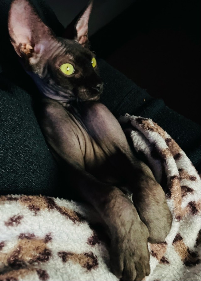 Вторник. Котэ. Пора
