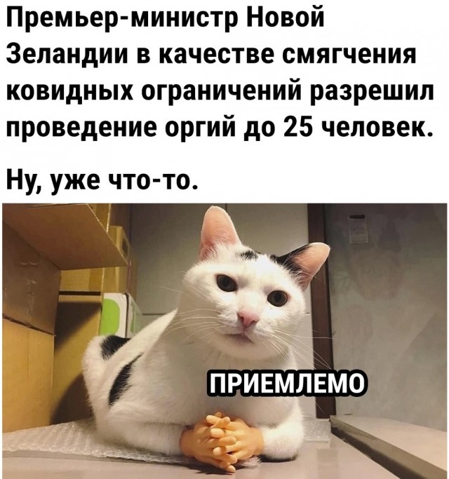 Так себе картинки 18.12.21