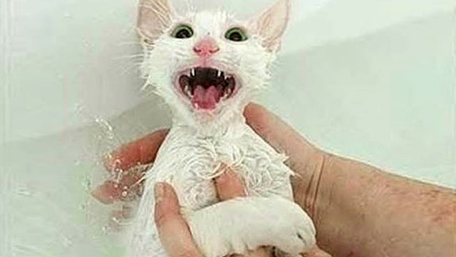 Кусь за палец и купаться!