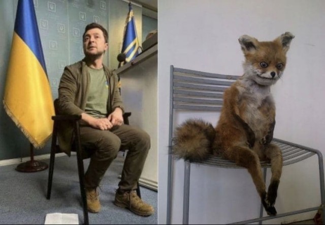 Путин и зеленский прикольные картинки