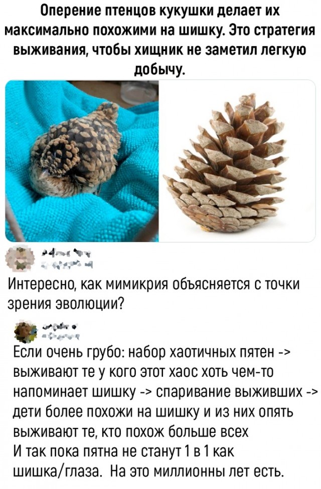 Так себе картинки 16.06.22