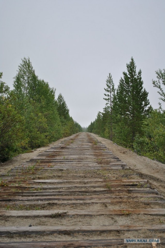 Трекинг по Ловозерским тундрам