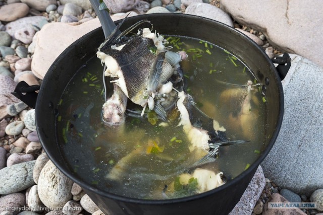 Сплав по реке Котуйкан.