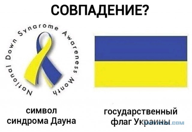 Зеленский исключил переговоры с Путиным в случае признания референдумов