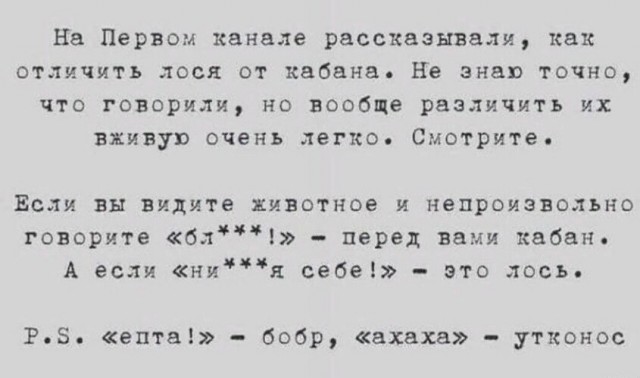 Так себе картинки 30.10.22