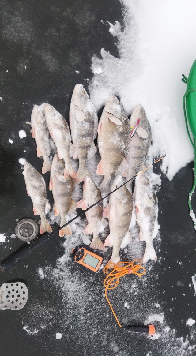 Открыл сезон твёрдой воды