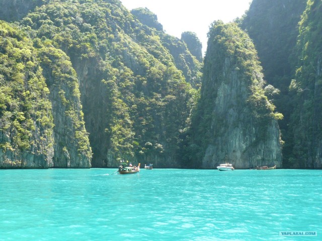 Немного Тая