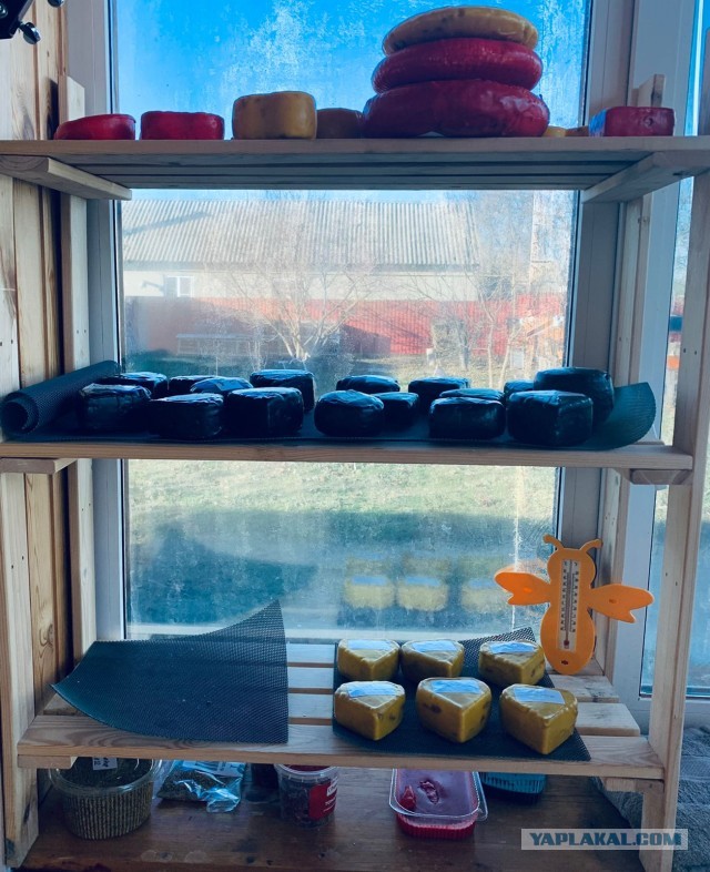 Варим качотту дома. Самый простой рецепт