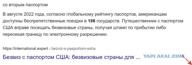 Паспорт ОАЭ признан "самым сильным" в мире, паспорт России сравним с паспортом Турции
