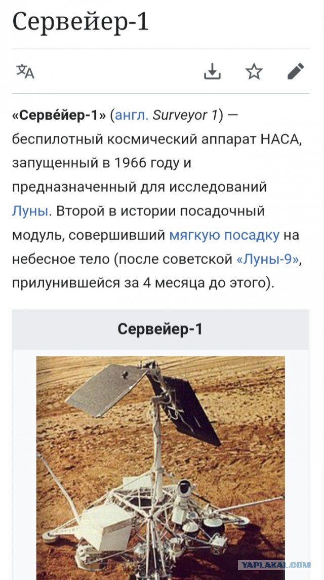 История Луноспоров