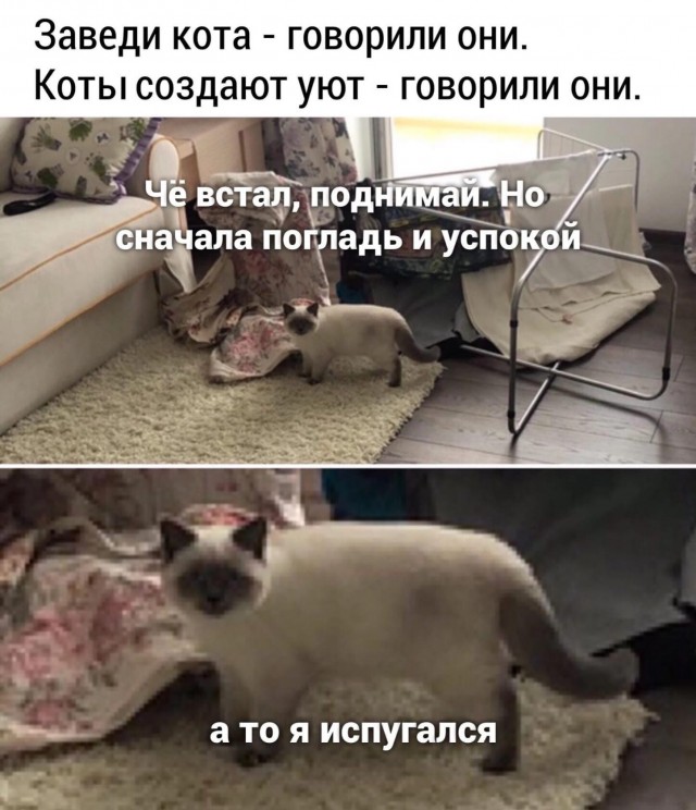Юмор в картинках и без 10.01.2023