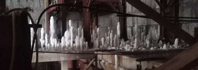 Опять про огурцы