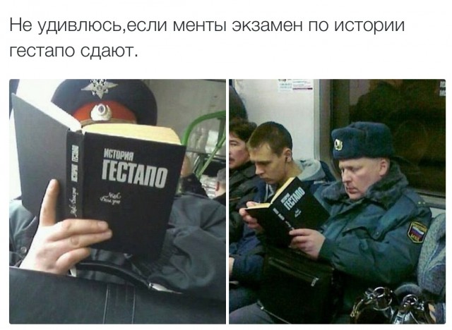 Курсанточка