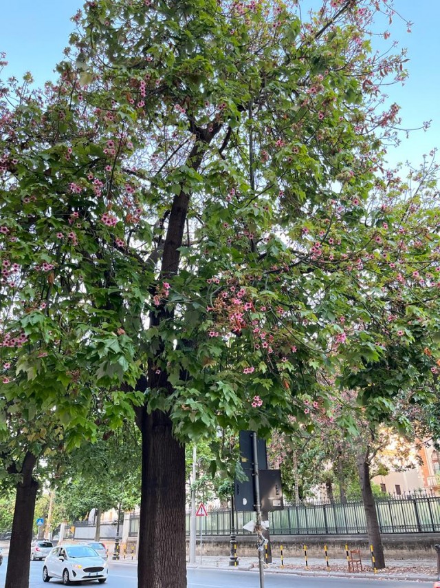 Немного отдыхательских фотокарточек на понедельник