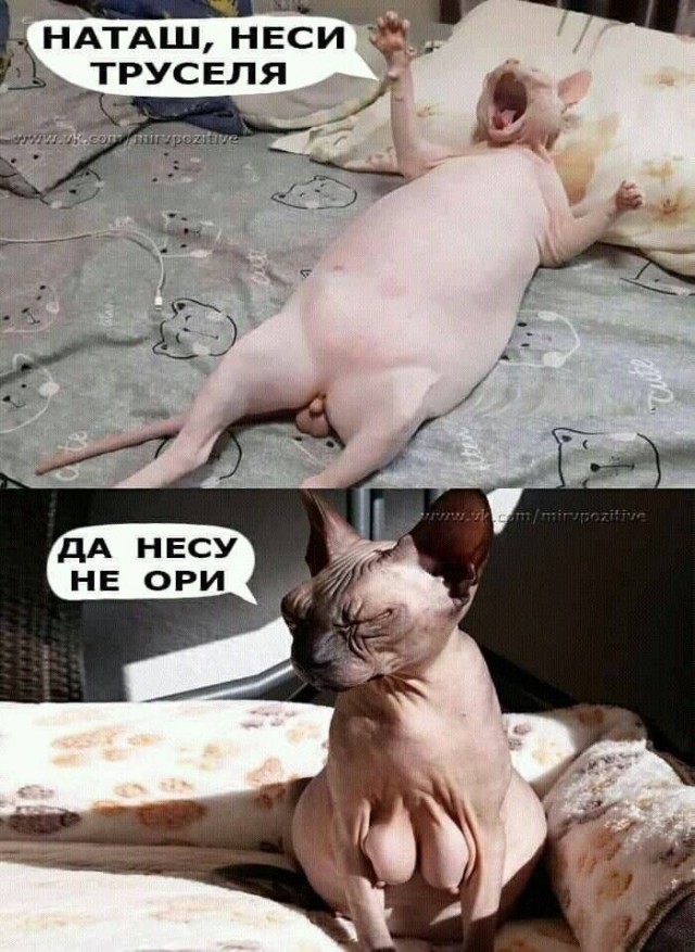 Год назад. Доклад ООН про изменение климата: худшее впереди