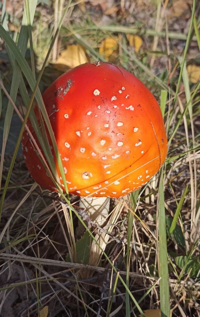 Природа. Урал