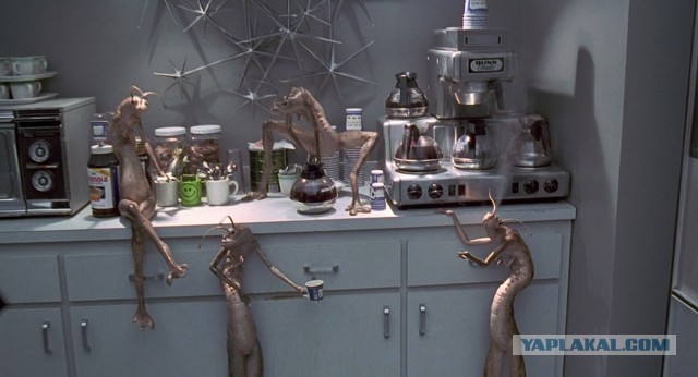 Панорамная фотография