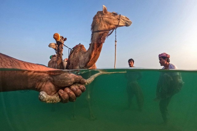 Поймать мгновение: Победители Siena International Photo Awards 2023