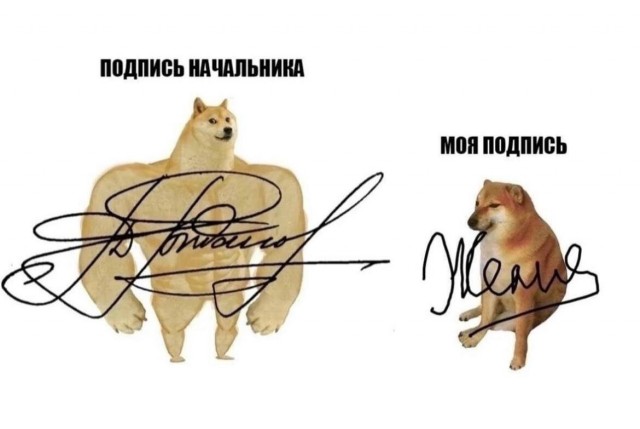 Весёлый полтишок 01.11.23