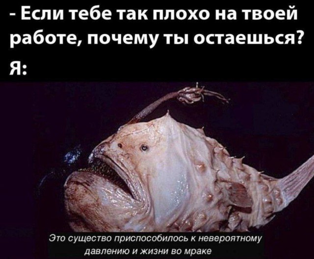 Дурдом (Бояны)