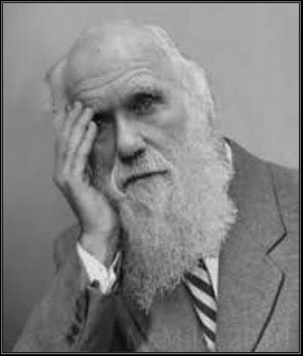 30% россиян выступают за исключение теории Дарвина из школьного курса — ВЦИОМ