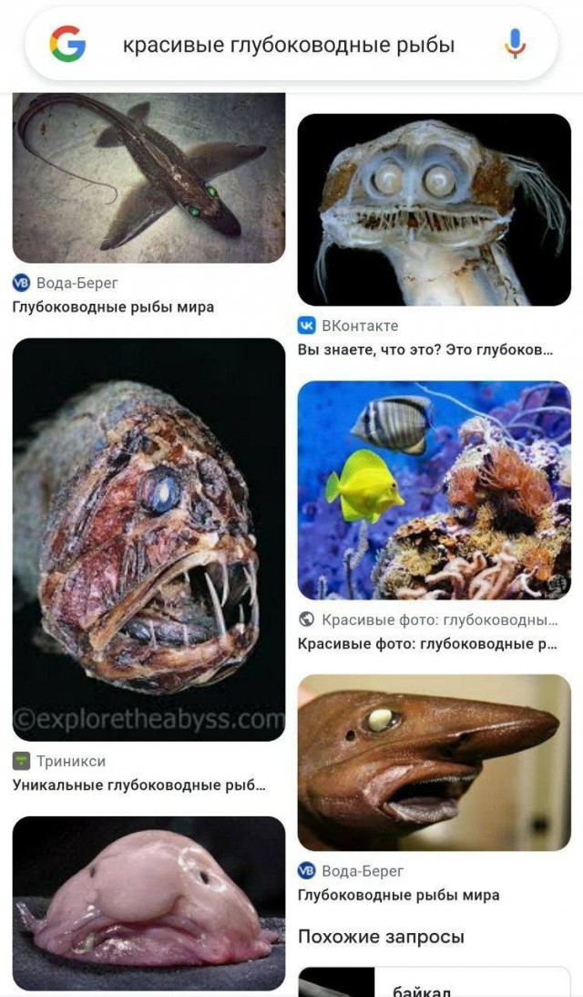 Вот вам, Розовый пухляш