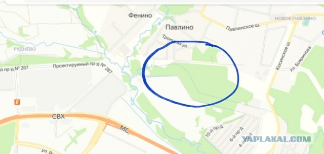 Свалку радиоактивных отходов разрыли в Московской области