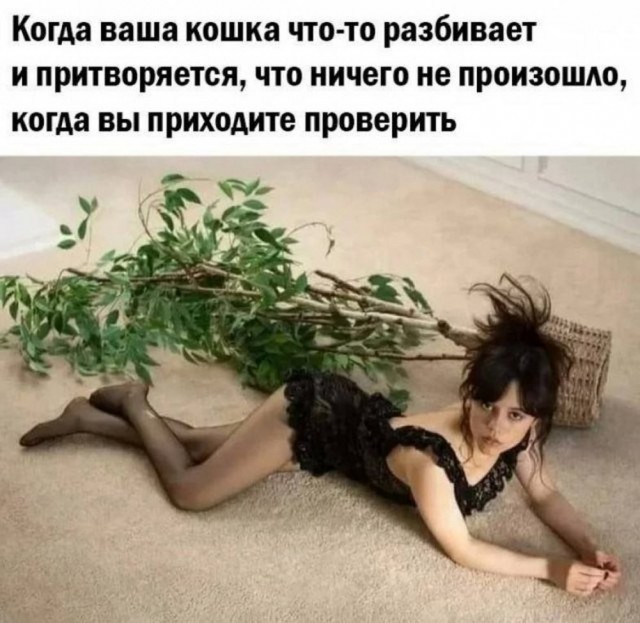 Сборник бабаянов или неожиданная помойка