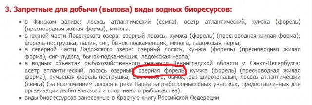 100 тонн форели стоимостью 100 млн рублей сбежало из рыбного хозяйства под Новгородом