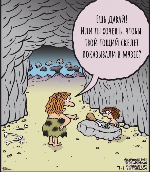 Так себе картинки 20.11.24