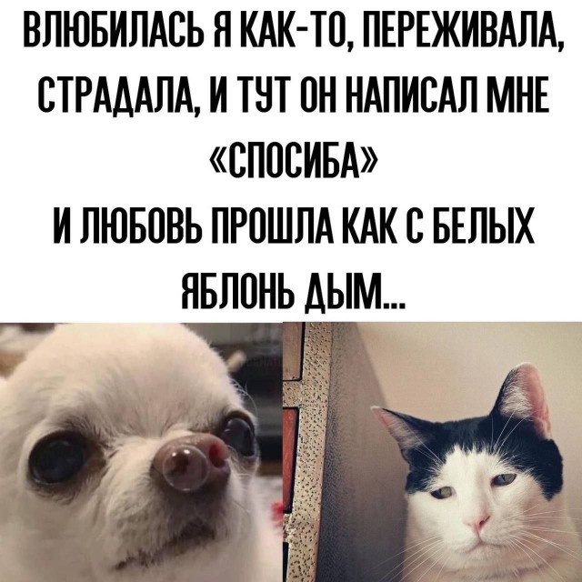 Картинки для...