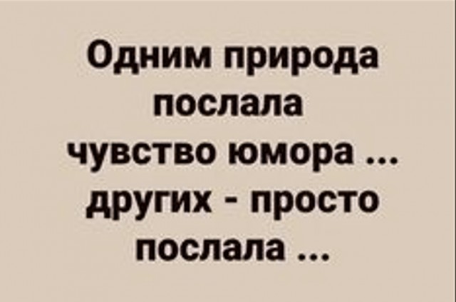 Весёлый полтишок 23.01.25