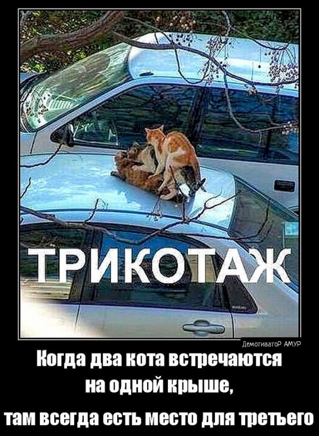 Прикольные и просто красивые картинки 07.02.2025